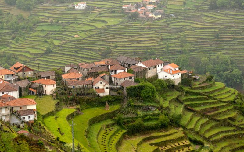 Lit – skarb, który dzieli Portugalczyków