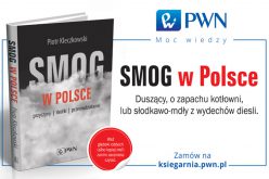 Smog w Polsce