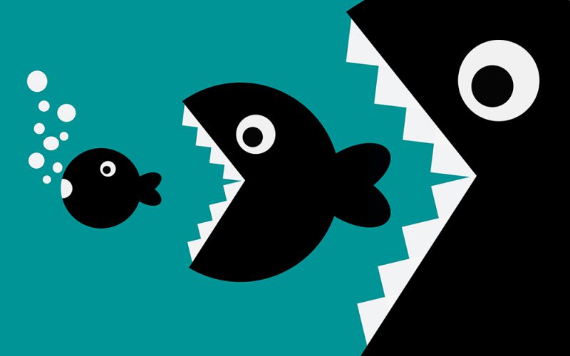 Kapitalizm jaki jest, nie każdy widzi