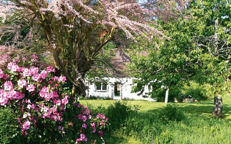 Kwarantanna po francusku