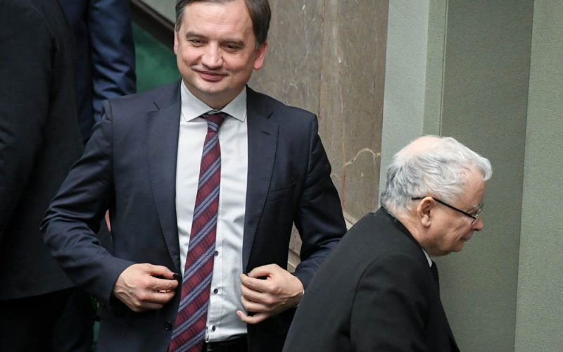 Rekin, delfin, czy leszcz?