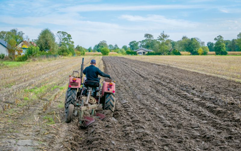 Gigantomania nieposkromiona