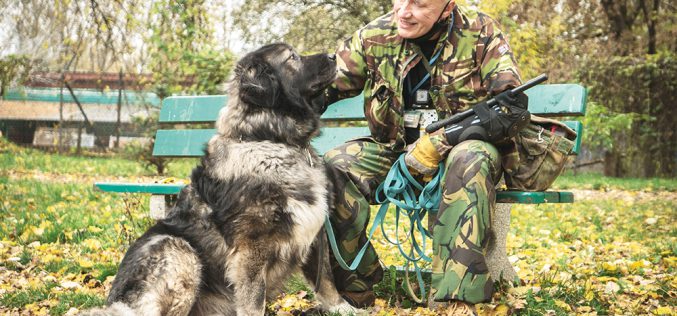 Jak rozmawiać z agresywnym psem