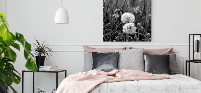 Obraz z dmuchawcem – pełna lekkości dekoracja wnętrza