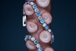 Answear ogłosił wyniki Projektu Packshot skierowanego do młodych i utalentowanych twórców