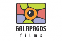 „Dolina Bogów”, „Asystentka” i inne premiery VOD Galapagos Films w 2020 r.