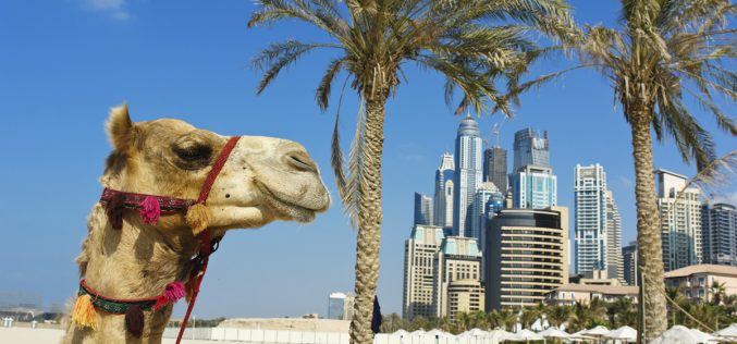 Co warto zobaczyć w Zjednoczonych Emiratach Arabskich? Dubaj – miasto pełne atrakcji