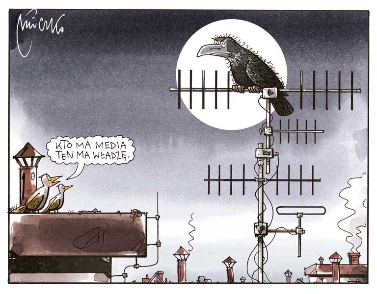 Rysunek A. Mleczki z PRZEGLĄDU nr 8/2021