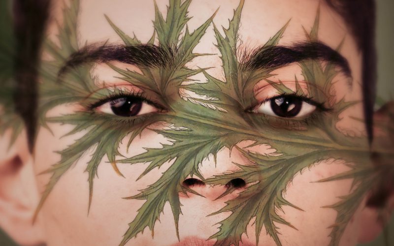 Oscary 2021 – film Holland na krótkiej liście