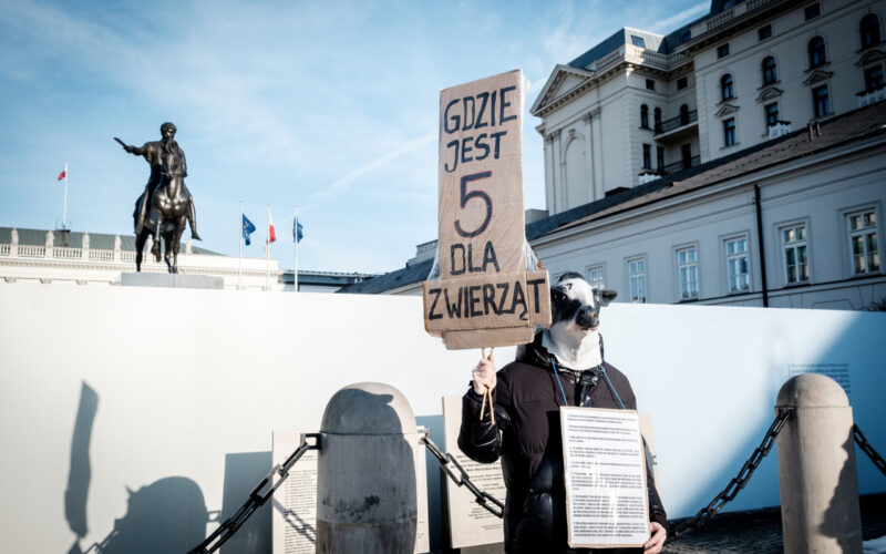 Koniec „Piątki dla zwierząt”?