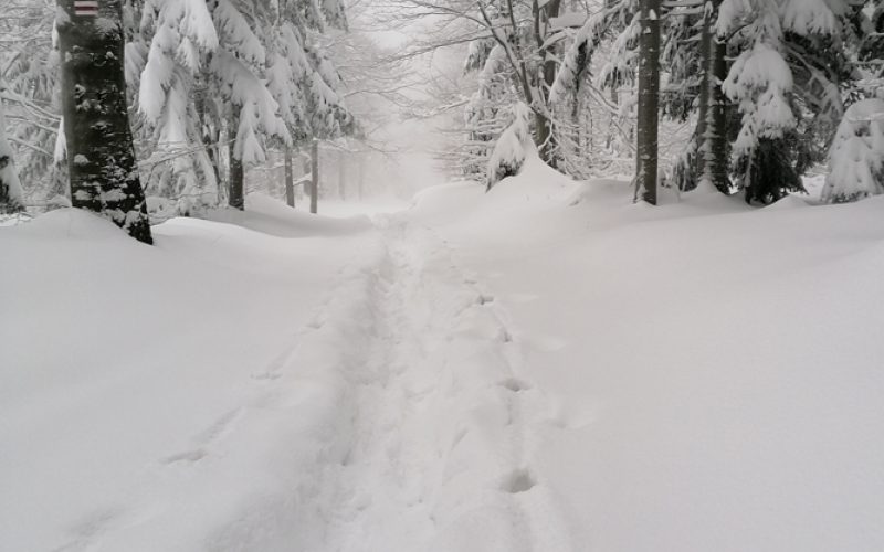 Bielszy odcień bieli