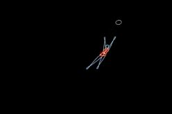 Aborcja dzieje się mimo sprzeciwu pro-liferów