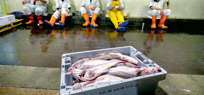 Sto dni po brexicie