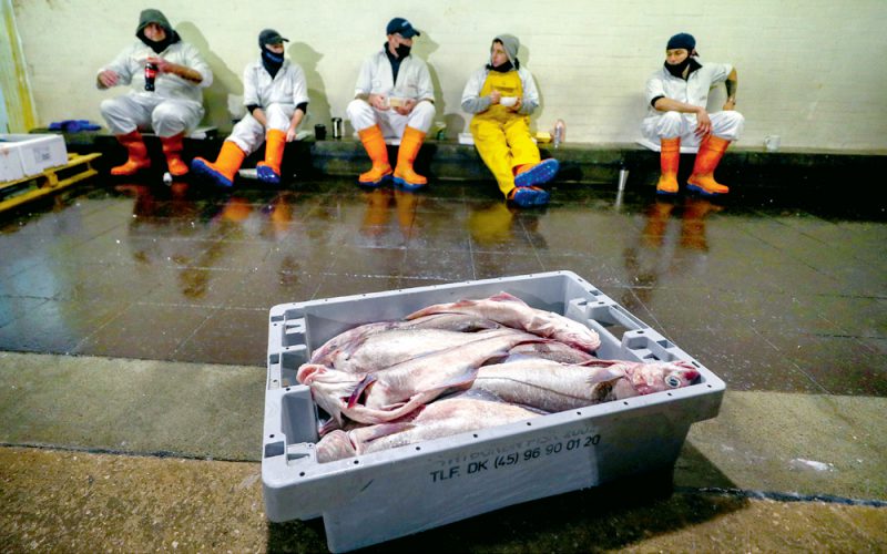 Sto dni po brexicie