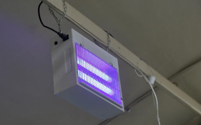 W jaki sposób działa lampa owadobójcza?