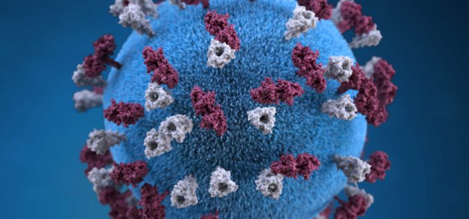 Jak długo utrzymuje się odporność po przebyciu COVID-19?