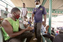 Jak wyleczyć Afrykę?