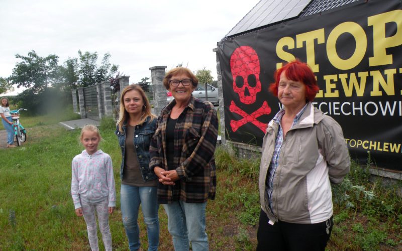 Chlewnia przy pełnikowej łące