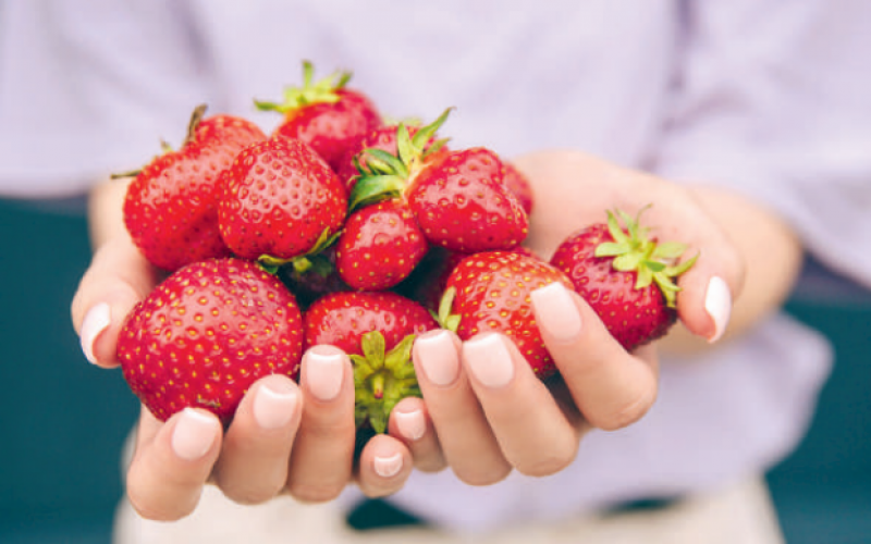 Letnia dieta lecznicza