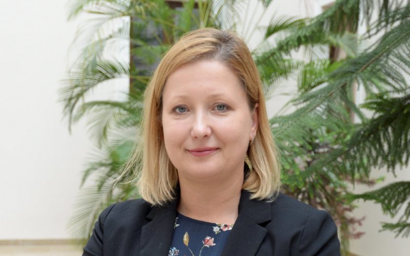 Czekolada z szarańczą