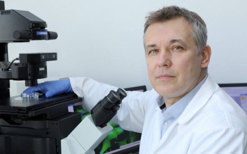 Trzustka szyta na miarę