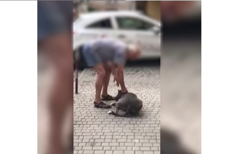 Uwaga! Groźny właściciel psa