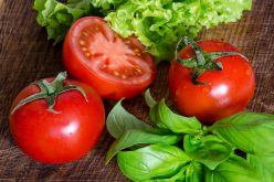 Pomidor – warzywo pożądane w każdym ogrodzie
