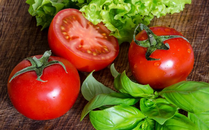 Pomidor – warzywo pożądane w każdym ogrodzie