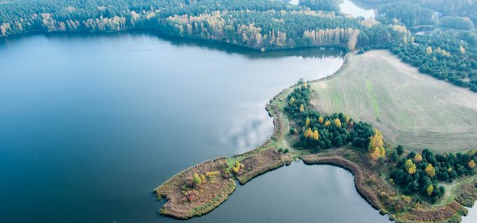 Lato w Borach Tucholskich