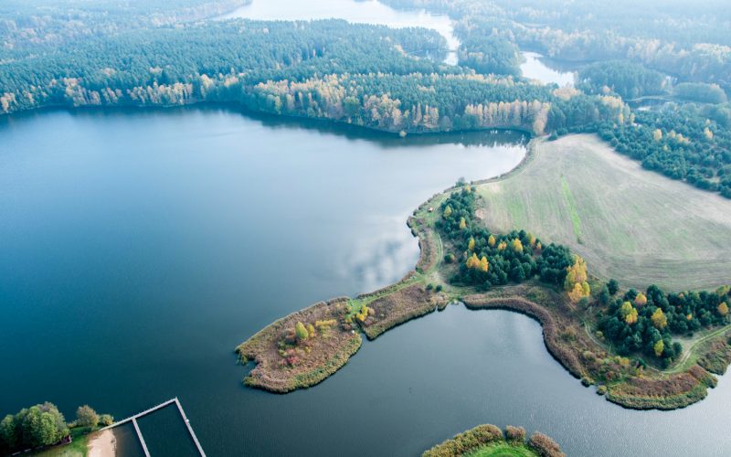 Lato w Borach Tucholskich