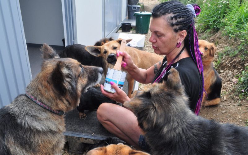 Człowiek zwierzęciu człowiekiem