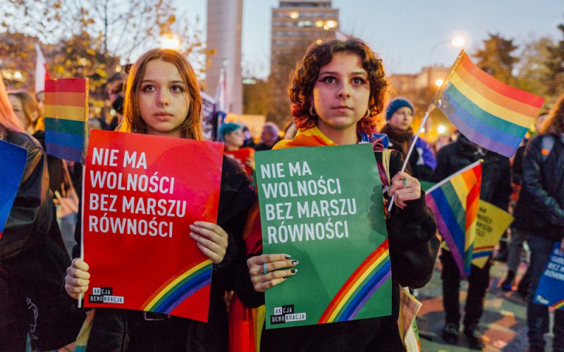 Projekt Kai Godek w Sejmie