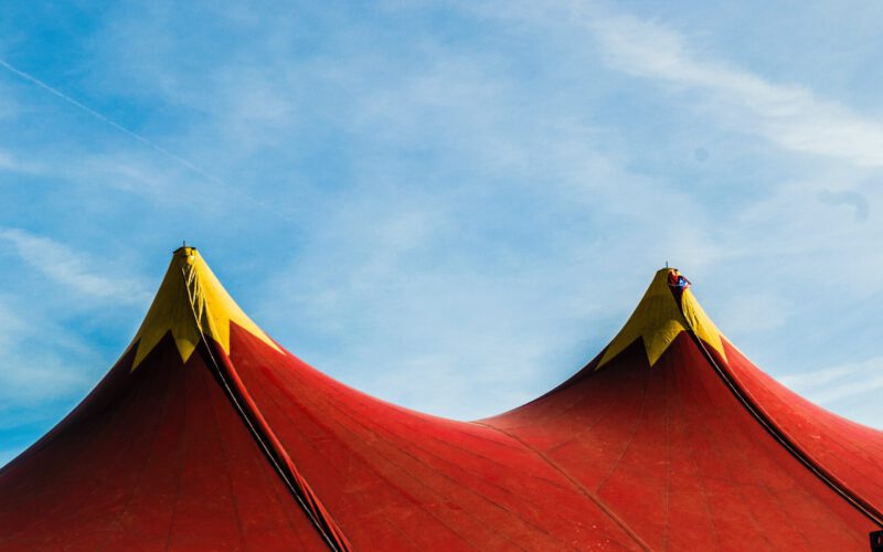 Dzikie zwierzęta w cyrku? Stare dzieje