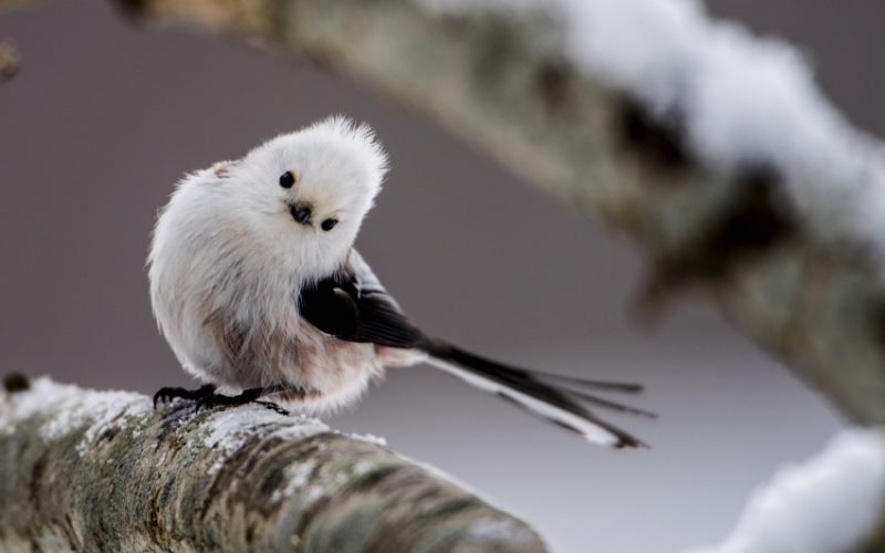 Współpraca popłaca