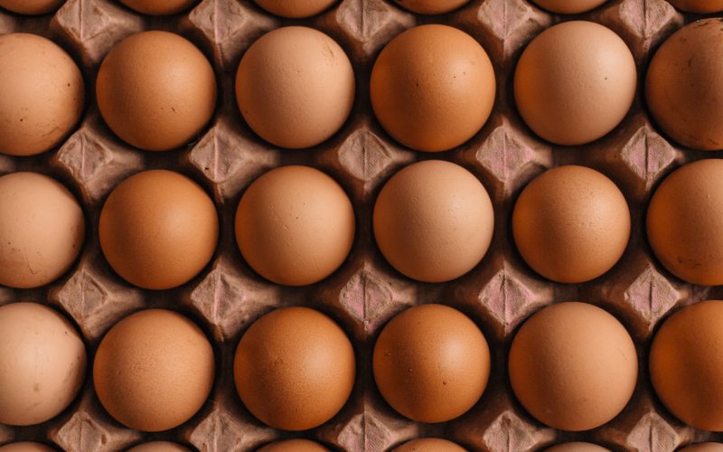 Białko z grzybów zamiennikiem jajek?
