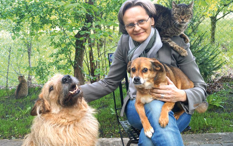 Kastrujemy bezdomność