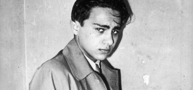 Grynszpan, Goebbels i Bonnet