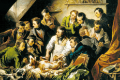 Czy zwierzęta się boją?