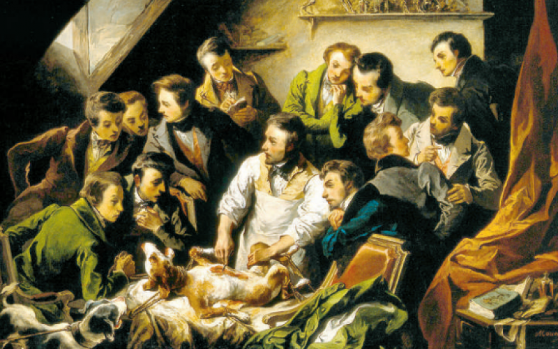 Czy zwierzęta się boją?