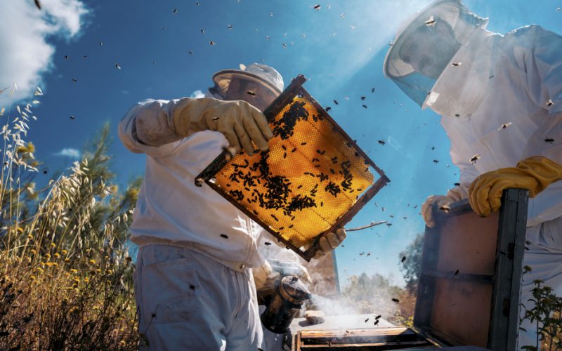 Słodko nie będzie