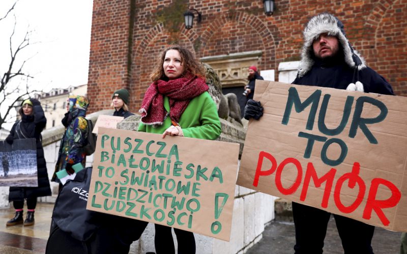 Mur, który zabije Puszczę Białowieską