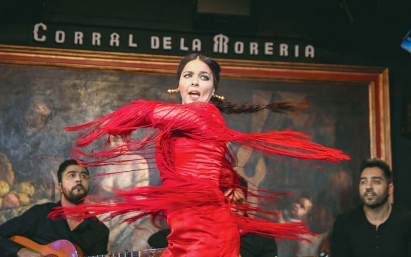 Ostatnie flamenco w Madrycie