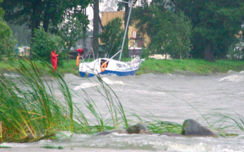 Szukajcie w trzcinie