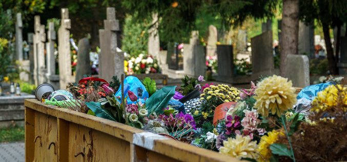 Pamięć zaklęta w plastik