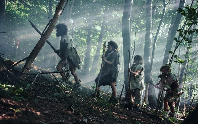 Zęby ze Stajni, bumerang i reszta