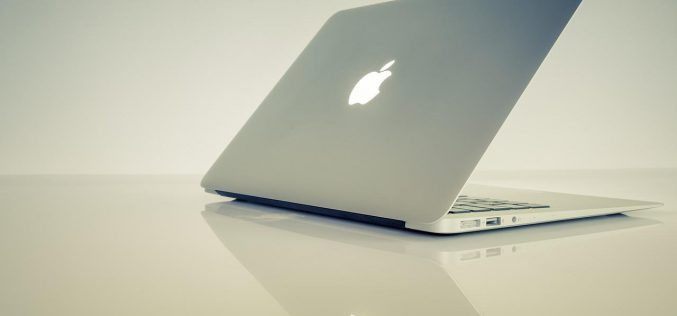 Natura SEO – wsparcie małych i dużych firm