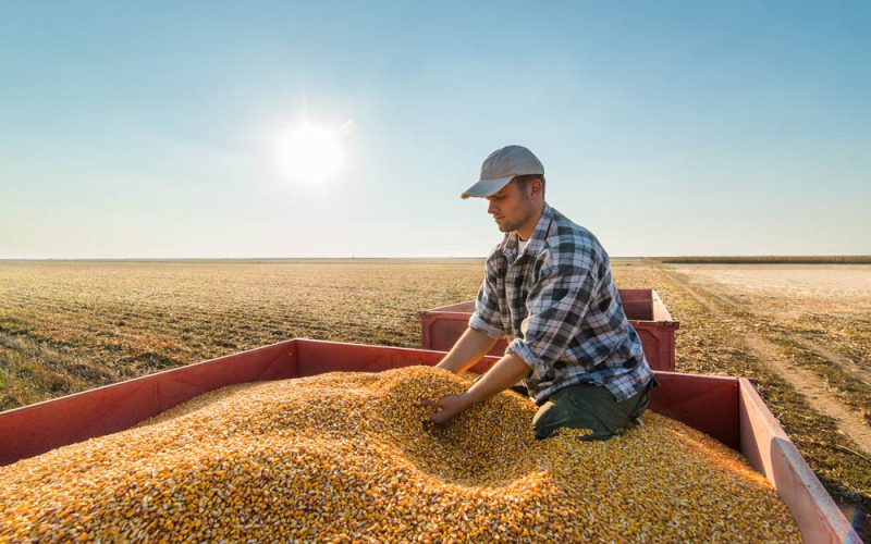 Bez młodych na roli