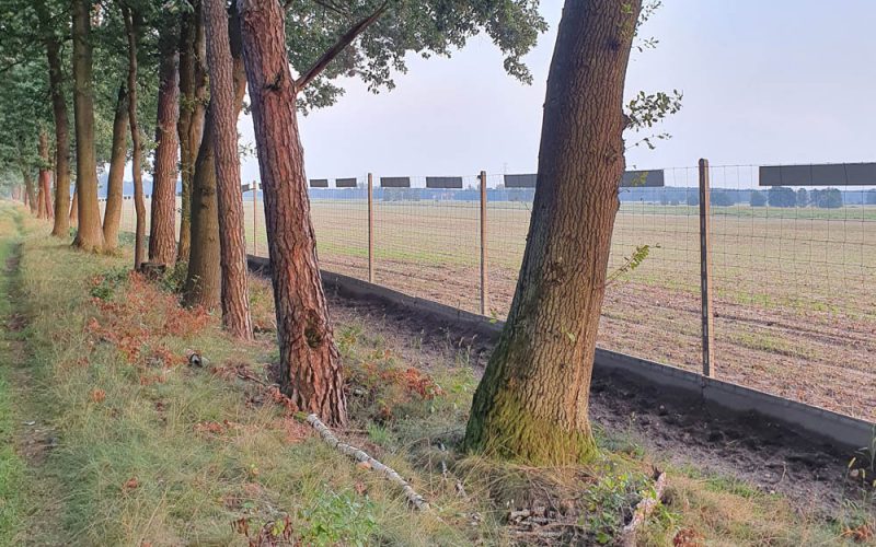 Bezkarny pirat na Opolszczyźnie