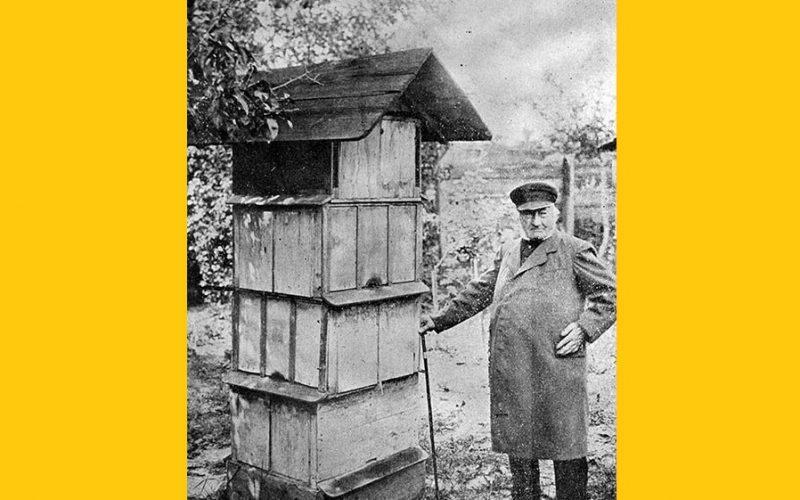 Pszczoły, niepokalane poczęcie i ekskomunika