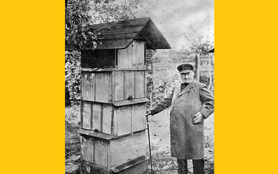 Pszczoły, niepokalane poczęcie i ekskomunika